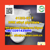 80532-66-7 - BMK methyl glycidate -  Chinese vendor