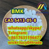 Hot BMK CAS 5413-05-8 Ethyl 3-oxo-4-phenylbutanoate Best price