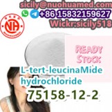Exclusive sales cas 75158-12-2 L-tert-leucinaMide hydrochloride