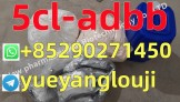 Factory direct sales protonitazene 119276-01-6 metonitazene 14680-51-4 bromazolam 71368-80-4 iso