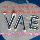 China Chemical Rdp Re-Diepersible Polymer Emulsion Powder Manufacturer Vae