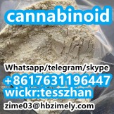 cannabinoid,5CLadb,6CLadb,spices,K2,ab-chminaca,ADB-BUTINACA,JWH018,HU210,MDA19