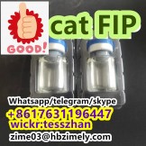 1191237-69-0,GS-441524,cat FIP FIPV